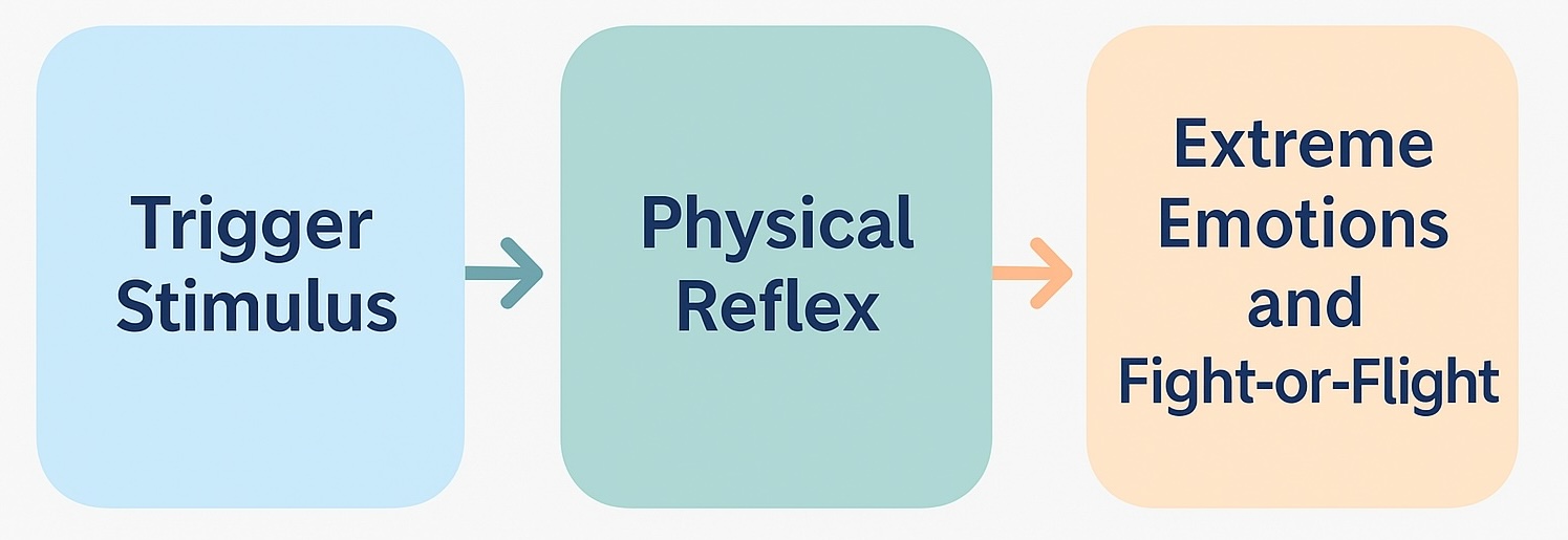 The diagram explains the Misophonia Institute's double-reflex model.